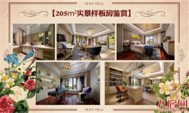 联发橄榄墅：700万城熟大墅 与伪别墅Say Byebye——九房网