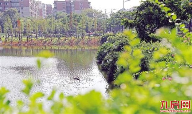 厦门房产,厦门房地产,厦门新房,九房网,厦门房产