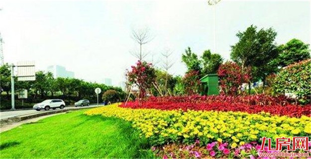 “四桥一隧”改造项目完成 全新面貌提升城市环境——九房网