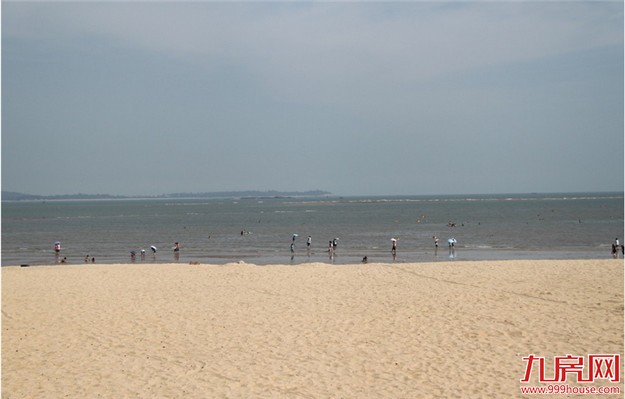 新华社发文肯定厦门海洋生态环境整治保护成效——九房网