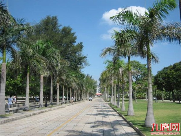 8月27日至9月6日 厦门部分区域实行临时性行政管理措施——九房网