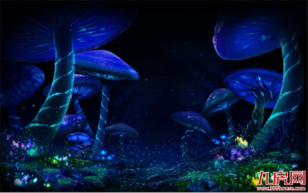 奇梦来袭！3D版《爱丽丝梦游仙境》首次登陆厦门！——九房网