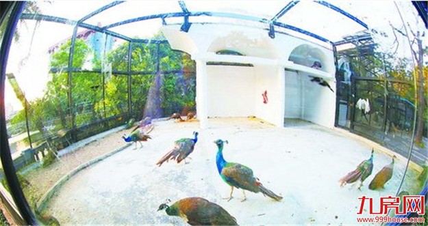 儿童乐园动物园今日起全新亮相 攀岩戏水走迷宫看动物乐趣无穷——九房网 儿童乐园动物园今日起全新亮相 攀岩戏水走迷宫看动物乐趣无穷——九房网