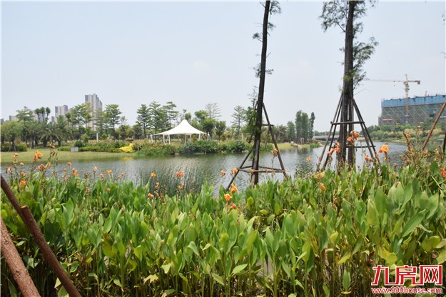 实地测评：——九房网