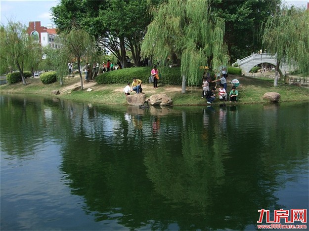 中外媒体记者盛赞厦门城市建设：这座城市给人幸福感——九房网