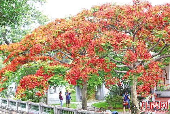 厦门房产,厦门房地产,厦门新房,九房网,厦门房产 厦门房产,厦门房地产,厦门新房,九房网,厦门房产