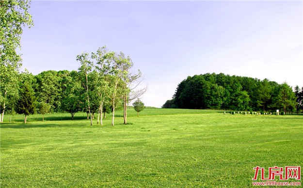 去年土地批而未用177万亩，国土部高层接连发声要这么做——九房网