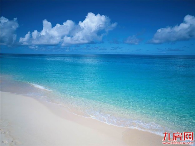 奏响蓝色生态乐章 我市全力推进国家级海洋生态文明示范区建设工作——九房网