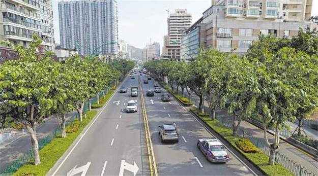 一年来 厦门多道路全面改造提升“绿装”焕然一新——九房网