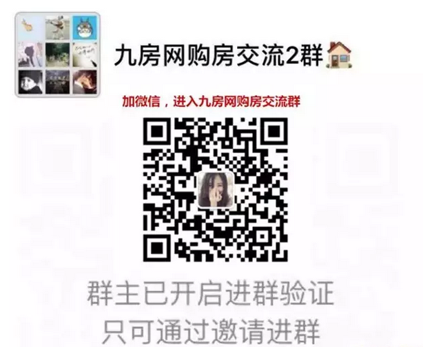 谁是岛外区域发展“一哥”？如今大局已定，它成最大赢家！——九房网