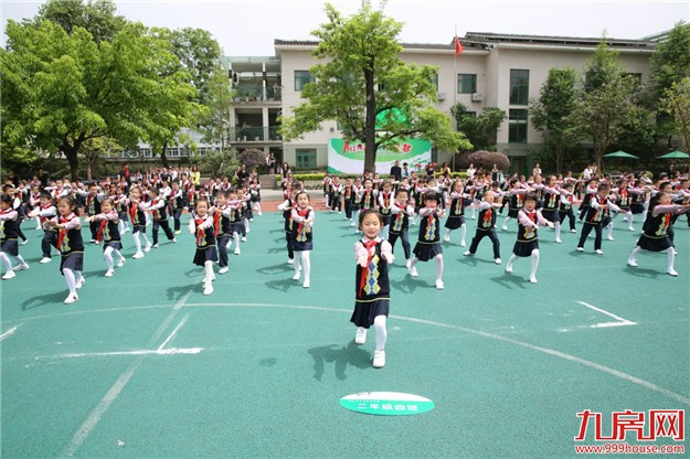 马銮湾新城马銮西小学招标 计划办学48班总投约2亿——九房网