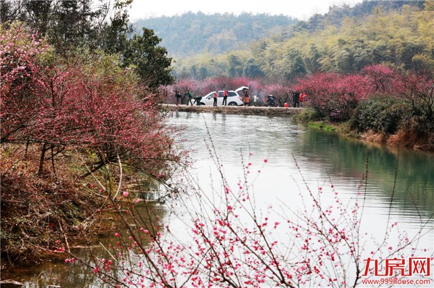 “2017翔安乡村旅游季”启动 上千游客体验乡村旅游趣味——九房网 “2017翔安乡村旅游季”启动 上千游客体验乡村旅游趣味——九房网