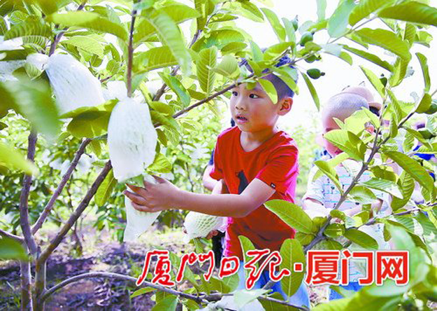 厦门房产,厦门房地产,厦门新房,九房网,厦门房产 厦门房产,厦门房地产,厦门新房,九房网,厦门房产