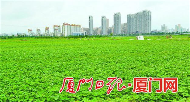 市国土房产局全面提升管理和服务水平 促进产业城市转型——九房网