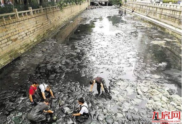 筼筜湖年度清淤11月上旬结束 拟清出7000立方米淤泥——九房网 筼筜湖年度清淤11月上旬结束 拟清出7000立方米淤泥——九房网