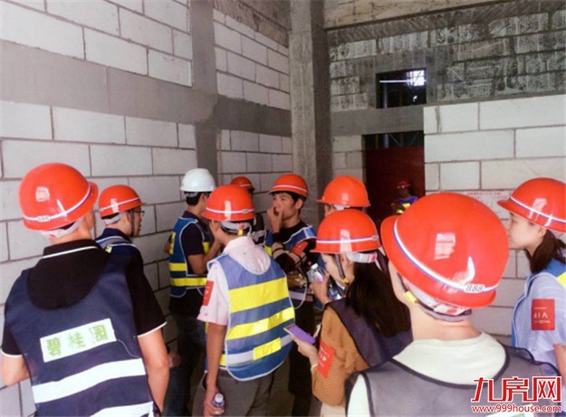 揭开碧桂园匠心工艺的神秘面纱！——九房网