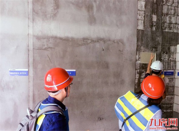 揭开碧桂园匠心工艺的神秘面纱！——九房网