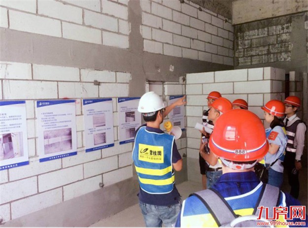 揭开碧桂园匠心工艺的神秘面纱！——九房网