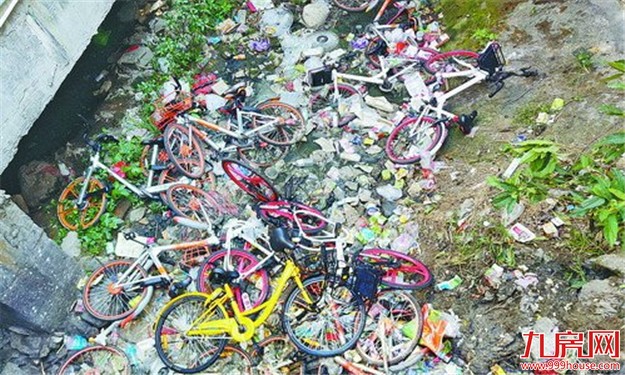 7个单车品牌超25万辆投放厦门 疯狂抢滩给市民添堵——九房网