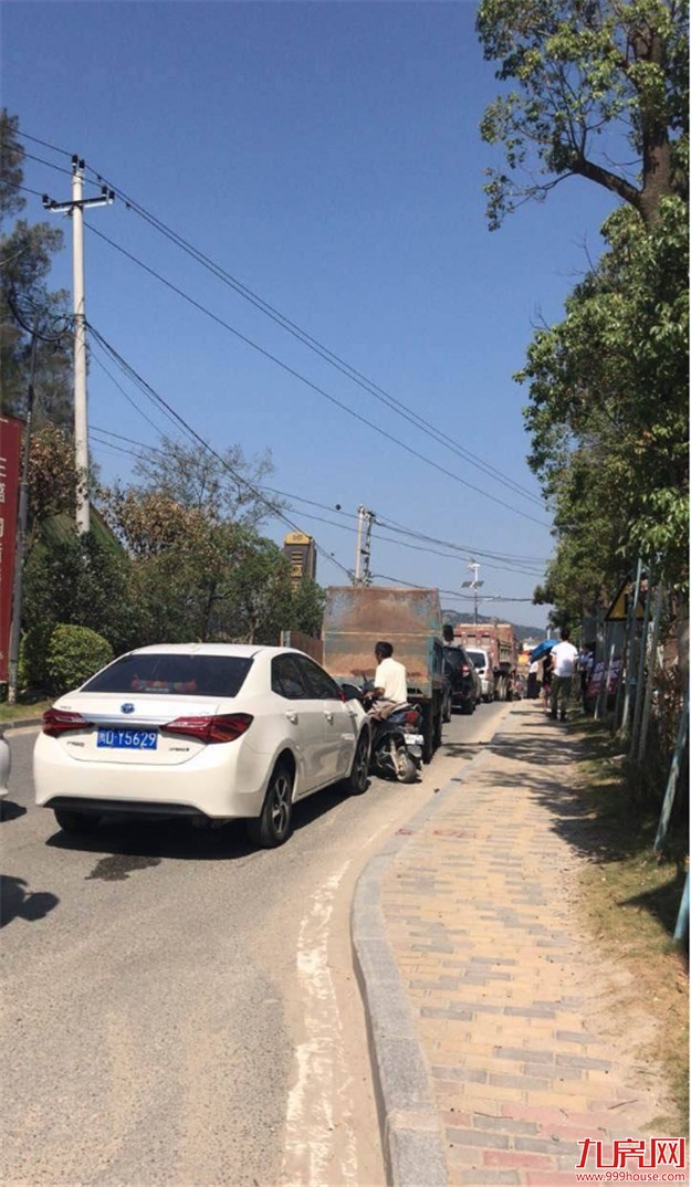 漳州港卓岐海堤拥堵成患 市民多次反映无果——九房网 漳州港卓岐海堤拥堵成患 市民多次反映无果——九房网