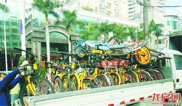 厦放大招整治共享单车 岛内单车将减半已收回4万辆——九房网