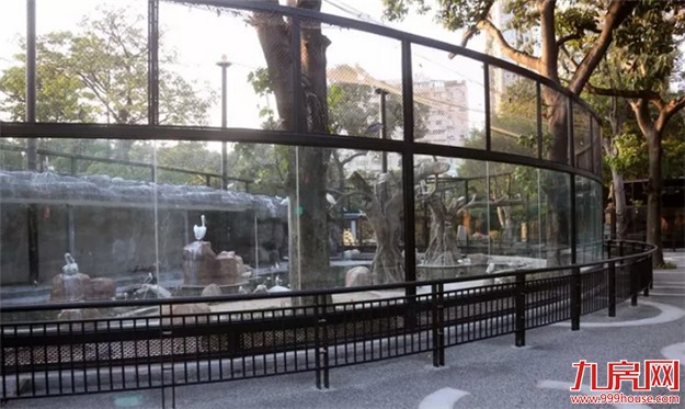 中山公园动物园重新开放 市民:宽敞干净环境更好了——九房网