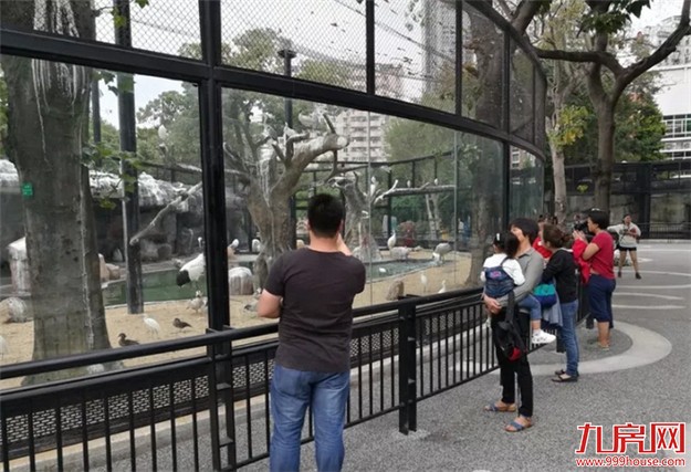 中山公园动物园重新开放 市民:宽敞干净环境更好了——九房网