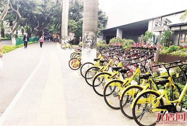 整治行动：厦门6万多辆乱停放的共享单车被清理暂扣——九房网