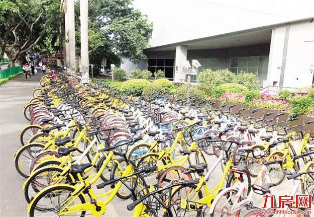 整治行动：厦门6万多辆乱停放的共享单车被清理暂扣——九房网