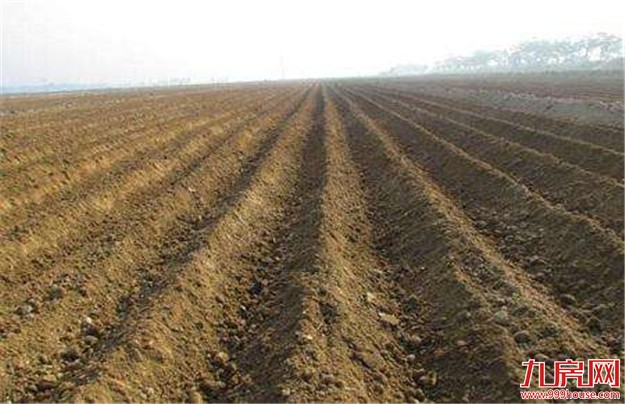 人民日报刊文评土地承包再延长30年:土地稳了心才定——九房网