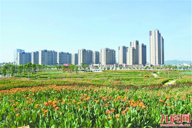 “花田美事”3468亩的生态片区纳入生态保护 ——九房网