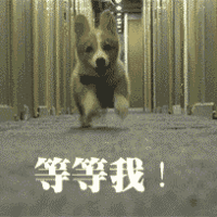 厦门房产,厦门房地产,厦门新房,九房网,厦门房产 厦门房产,厦门房地产,厦门新房,九房网,厦门房产