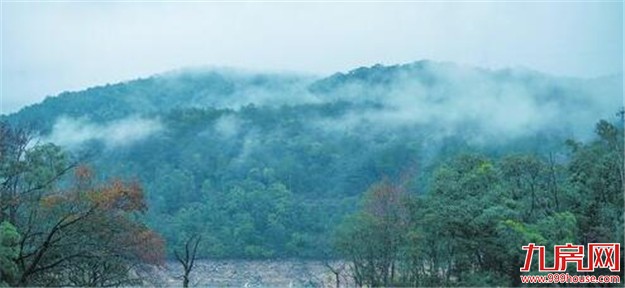 最强冷空气来袭 厦门降温幅度可达9℃~12℃——九房网 最强冷空气来袭 厦门降温幅度可达9℃~12℃——九房网