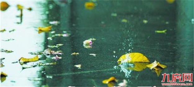 最强冷空气来袭 厦门降温幅度可达9℃~12℃——九房网 最强冷空气来袭 厦门降温幅度可达9℃~12℃——九房网