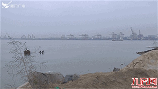 海沧隧道开始“入海”啦,——九房网 海沧隧道开始“入海”啦,——九房网