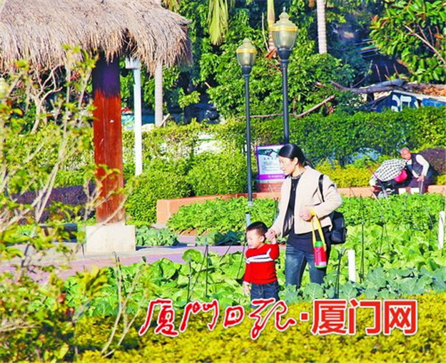 厦门房产,厦门房地产,厦门新房,九房网,厦门房产 厦门房产,厦门房地产,厦门新房,九房网,厦门房产