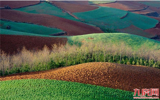 宅基地三权分置来了：放活使用权 对楼市或影响不大——九房网