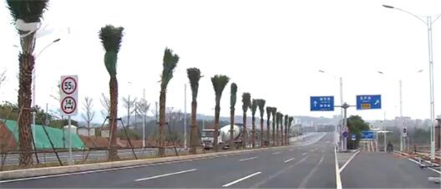 同安大道海翔大道-同南路段全线竣工 有望春节前通车——九房网