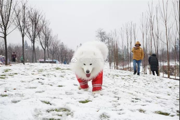 大半个福建都下雪啦！-3℃，厦门或创新低温！春节天气是…——九房网