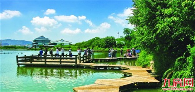 3.73万公顷!厦门湿地总面积保持稳定 生态环境日益变好——九房网 3.73万公顷!厦门湿地总面积保持稳定 生态环境日益变好——九房网