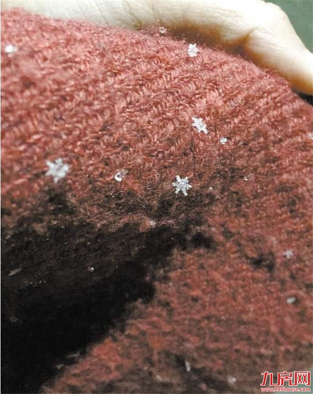 同安多个高山村雪花飘扬 厦门市民连夜自驾迎雪而来——九房网