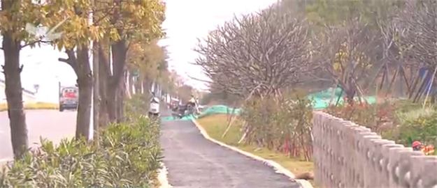 翔安将再添一条近13公里生态绿道 拟6月底基本完工——九房网