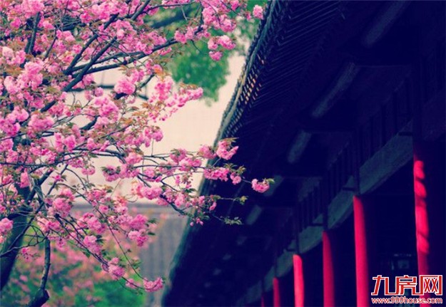 造园有术:待得青山入园来，赋予人生草木香——九房网