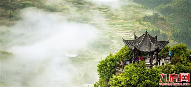 造园有术:待得青山入园来，赋予人生草木香——九房网