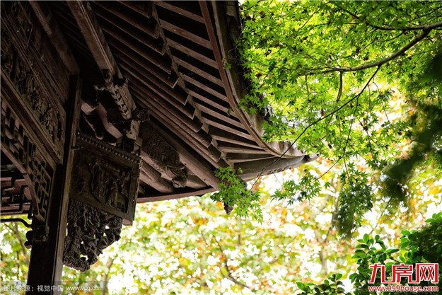 造园有术:待得青山入园来，赋予人生草木香——九房网