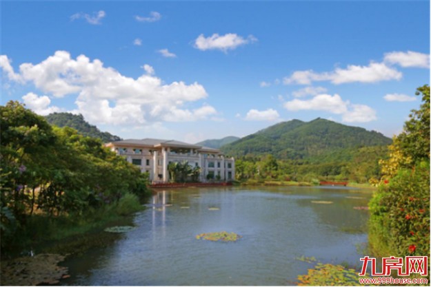 碧桂园登顶之路——九房网 碧桂园登顶之路——九房网