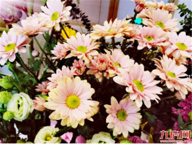 “女神”间的聚会：精彩花絮揭秘——九房网