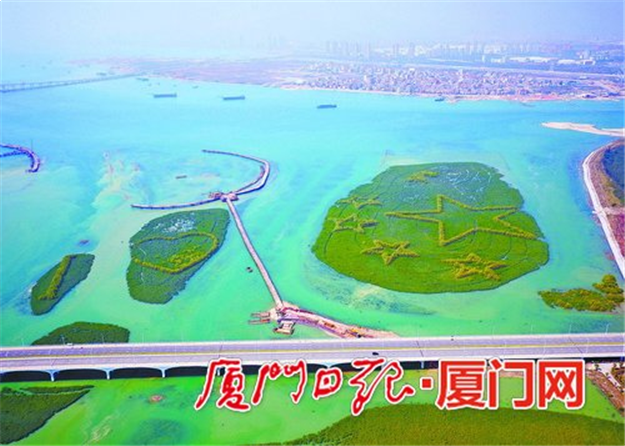 厦门未来"串岛游"可赏红树林 2020年将向公众免费开放——九房网 厦门未来"串岛游"可赏红树林 2020年将向公众免费开放——九房网