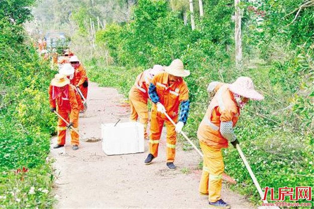 翔安修复内田溪带状公园 “绿色长廊”将重现魅力——九房网