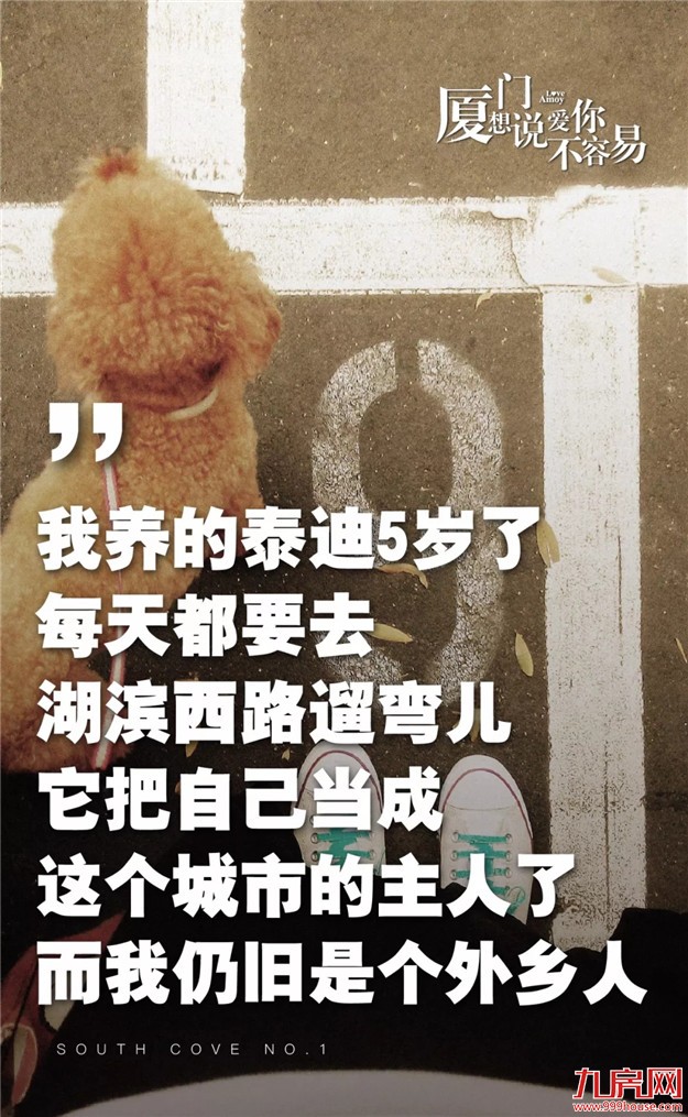 厦门有401万人，你为何总是一个人？——九房网